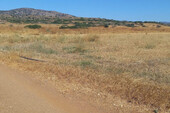 Foto - Grundstück Land Kaufen, , Rhodos (Dodekanes),