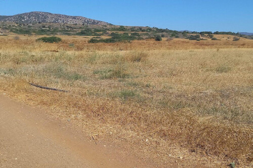 Foto - Grundstück Land Kaufen, , Rhodos (Dodekanes),