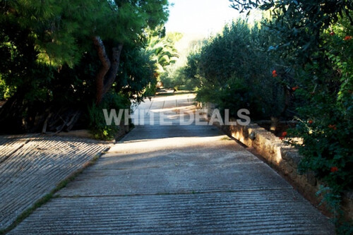 Foto - Haus Kaufen, , Markopoulo (Attika - Restliche Gemeinden), 1.850.000 &euro;