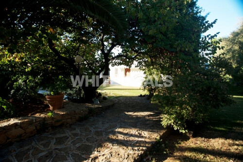 Foto - 3 Zimmer Einfamilienhaus in 