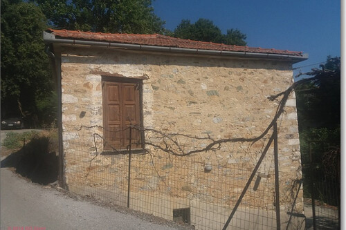Foto - 