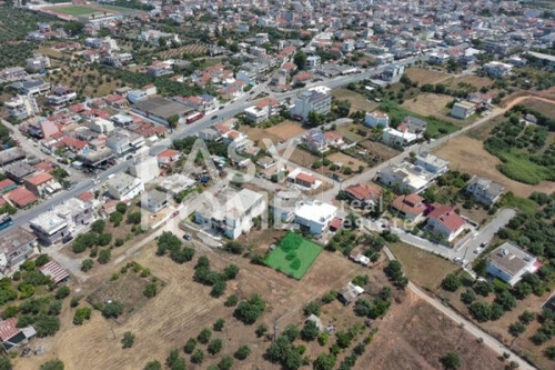 Foto - Grundstück Land Kaufen, , Messini (Messinia),