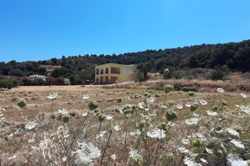 Foto - Grundstück Land Kaufen, , Styra (Euböa),