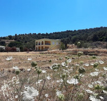 Grundstück Land Kaufen, , Styra (Euböa),