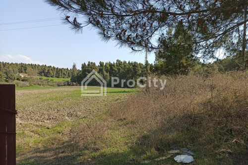 Foto - Grundstück Land Kaufen, , Kassandra (Chalkidiki),