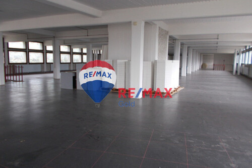 Foto - 1 Zimmer Gewerbeobjekt (Büro, Produktion, Verkauf) zur Miete in 