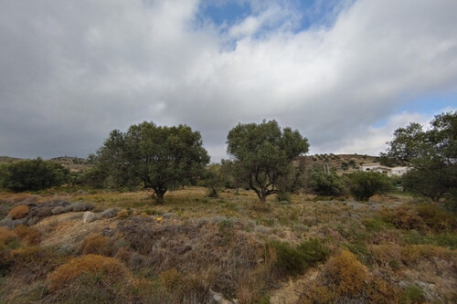 Foto - Grundstück Land Kaufen, , Keratea (Attika - Restliche Gemeinden),
