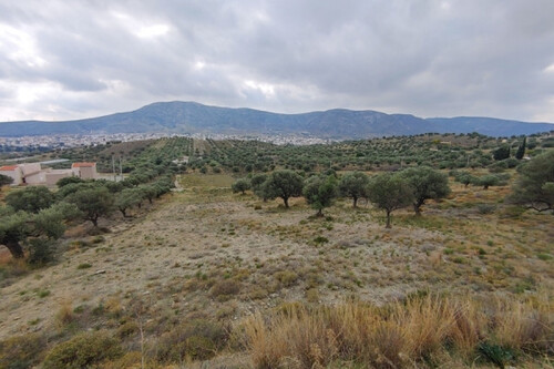 Foto - Grundstück in 