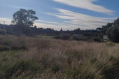 Foto - Grundstück Land Kaufen, , Kalyvia Thorikou (Attika - Restliche Gemeinden),