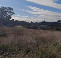 Grundstück Land Kaufen, , Kalyvia Thorikou (Attika - Restliche Gemeinden),