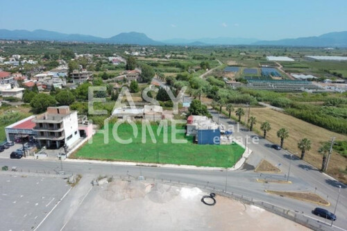 Foto - Grundstück Land Kaufen, , Messini (Messinia),