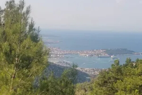 Foto - 