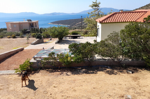 Foto - 5 Zimmer Einfamilienhaus zum Kaufen in 