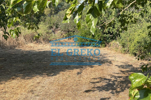 Foto - Grundstück Land Kaufen, , Sithonia (Chalkidiki),