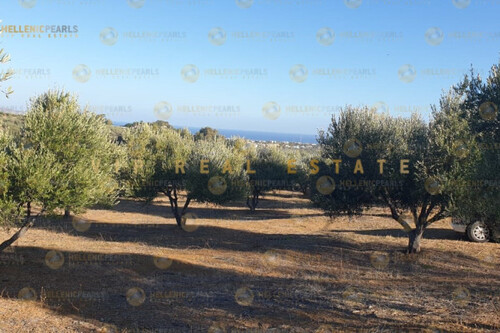 Foto - Grundstück Land Kaufen, , Gazi (Heraklion Präfektur),