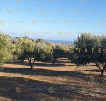 Grundstück Land Kaufen, , Gazi (Heraklion Präfektur),