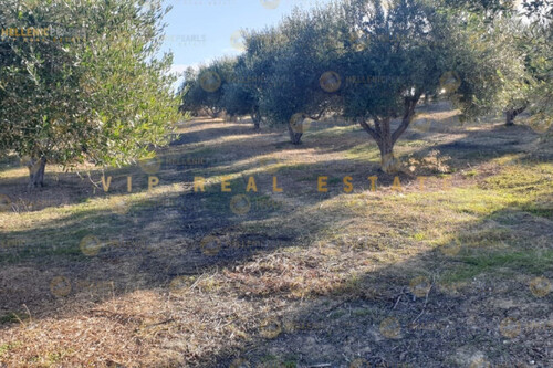 Foto - Grundstück zum Kaufen in 