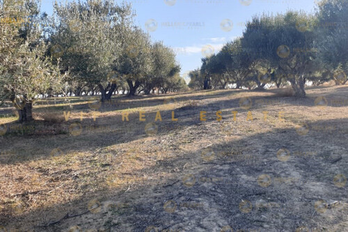 Foto - Grundstück in 