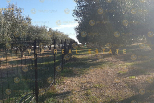 Foto - Grundstück in zum Kaufen