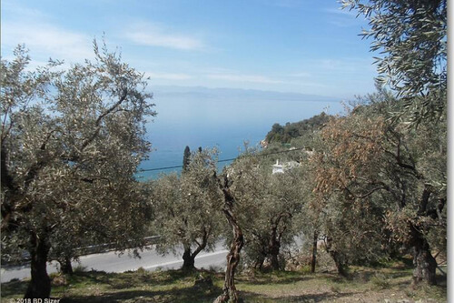 Foto - Grundstück Land Kaufen, , Volos (Magnisia),