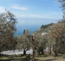 Grundstück Land Kaufen, , Volos (Magnisia),