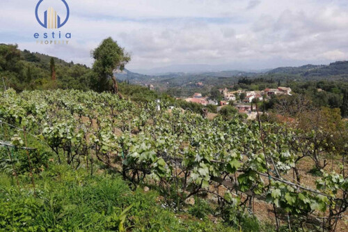 Foto - Haus Kaufen, , Korfu-Stadt (Korfu Präfektur),