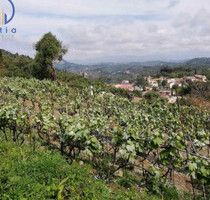 Haus Kaufen, , Korfu-Stadt (Korfu Präfektur),