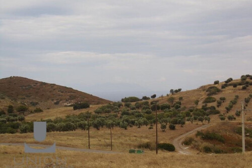 Foto - Grundstück zum Kaufen in 