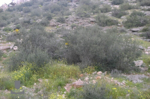 Foto - Grundstück zum Kaufen in 