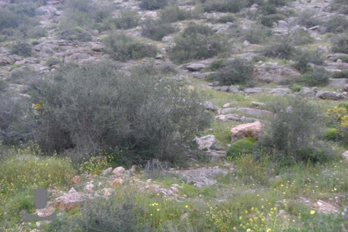 Foto - Grundstück in 