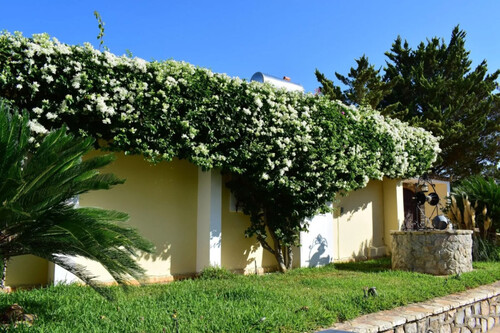 Foto - Einfamilienhaus in zum Kaufen