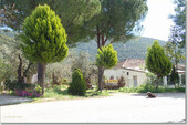 Foto - 
