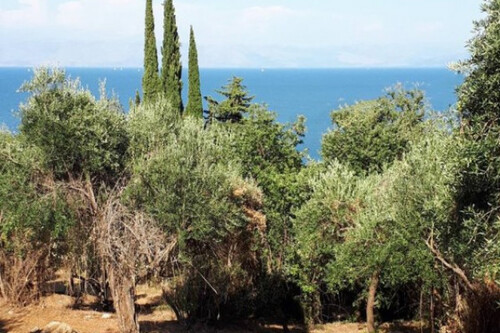 Foto - Grundstück Land Kaufen, , Korfu-Stadt (Korfu Präfektur),