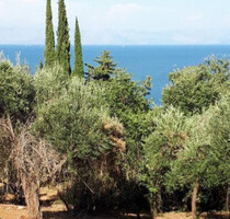 Grundstück Land Kaufen, , Korfu-Stadt (Korfu Präfektur),