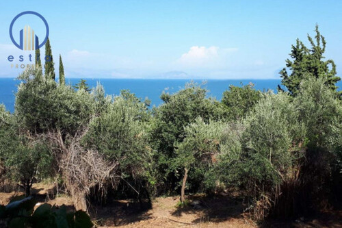 Foto - Grundstück zum Kaufen in 