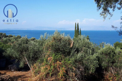 Foto - Grundstück in zum Kaufen