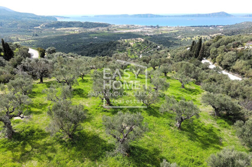 Foto - Grundstück in zum Kaufen