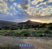 Grundstück Land Kaufen, , Heraklion-Stadt (Heraklion Präfektur),