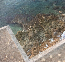 Haus Kaufen, , Oitylos (Lakonia),