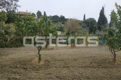 Foto - Grundstück Land Kaufen, , Methoni (Messinia),