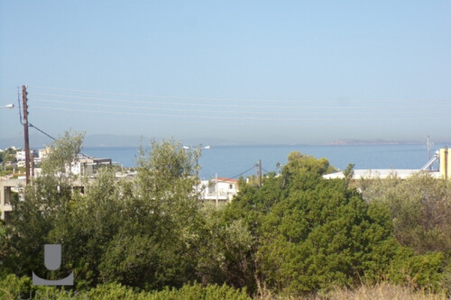 Foto - Grundstück Land Kaufen, , Saronida (Attika - Restliche Gemeinden),