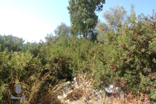 Foto - Grundstück in 