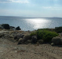 Grundstück Land Kaufen, , Anavyssos (Attika - Restliche Gemeinden),