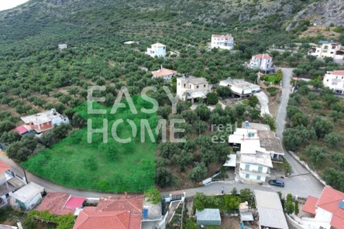 Foto - Grundstück Land Kaufen, , Kalamata (Messinia),