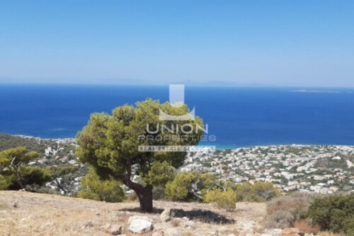 Foto - Grundstück Land Kaufen, , Saronida (Attika - Restliche Gemeinden),