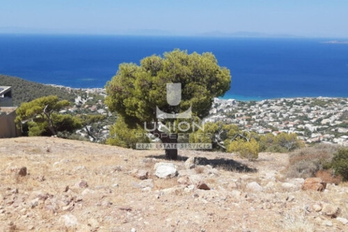 Foto - Grundstück in zum Kaufen