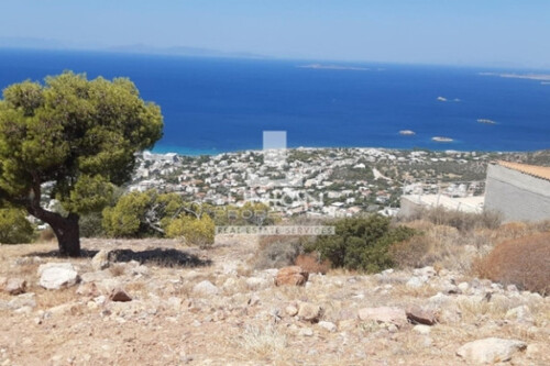 Foto - Grundstück Land Kaufen, , Saronida (Attika - Restliche Gemeinden),