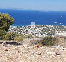 Grundstück Land Kaufen, , Saronida (Attika - Restliche Gemeinden),