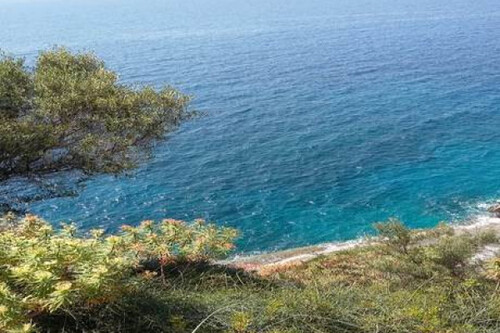 Foto - Grundstück zum Kaufen in 