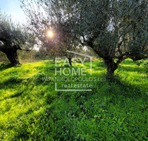 Grundstück Land Kaufen, , Kalamata (Messinia),